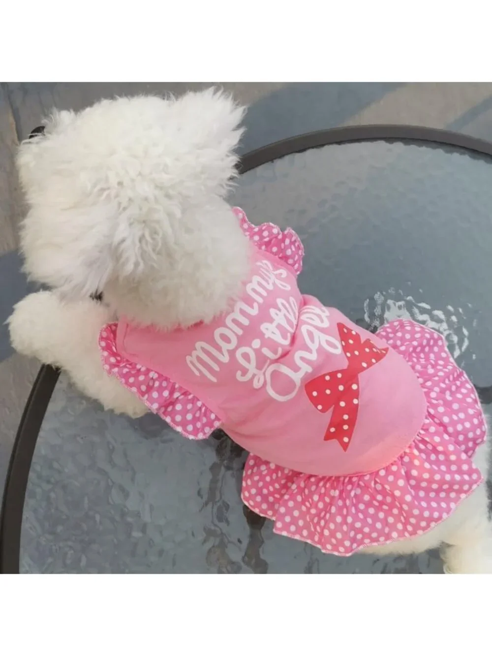 Cute Summer Dog Dress Set - 4 Pieces Pet Apparel for Small Dogs & Cats, X-Small